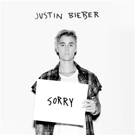 justin bieber sorry mp3